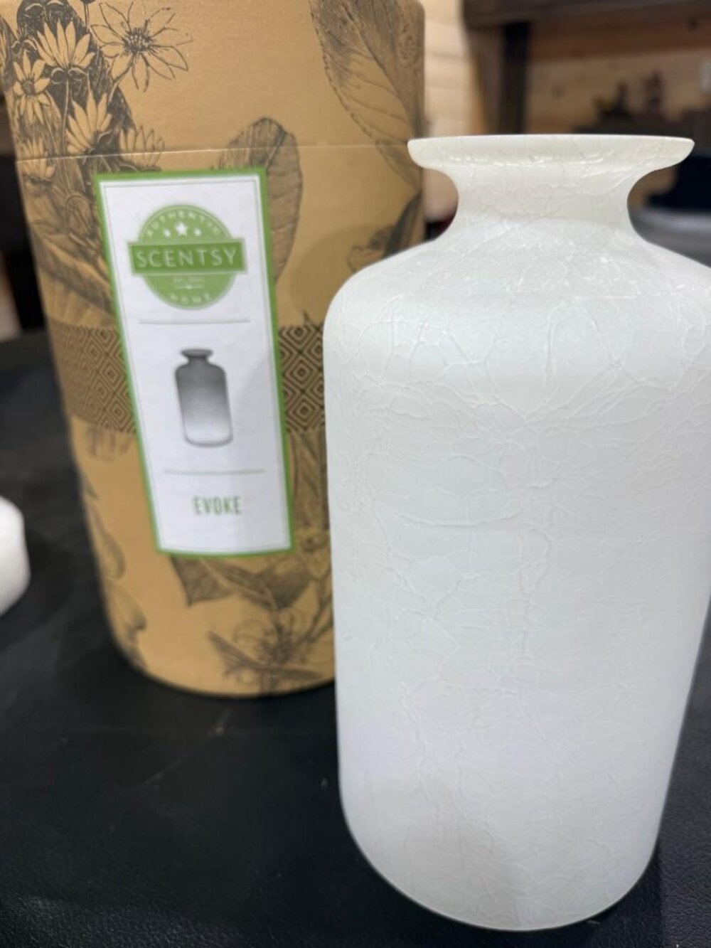 Evoke Scentsy Diffuser Shade ONLY